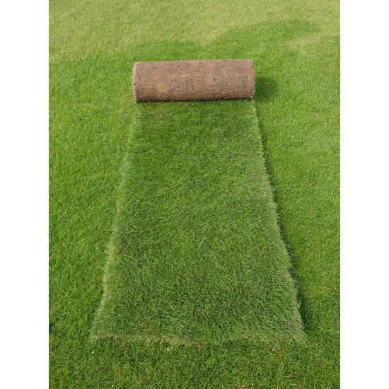 Premium Roll Out Grass